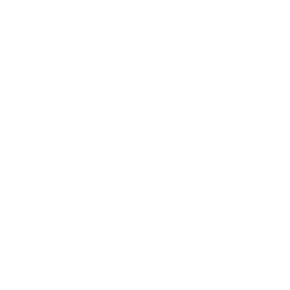 Lifestyle White Logo